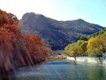 管家婆黑白马报图库，股市论坛